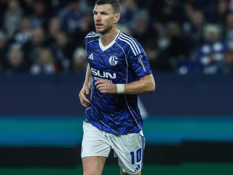 Dzeko schoss bereits vier Tore für Schalke