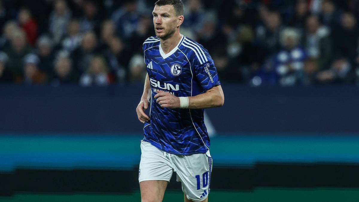 Dzeko schoss bereits vier Tore für Schalke