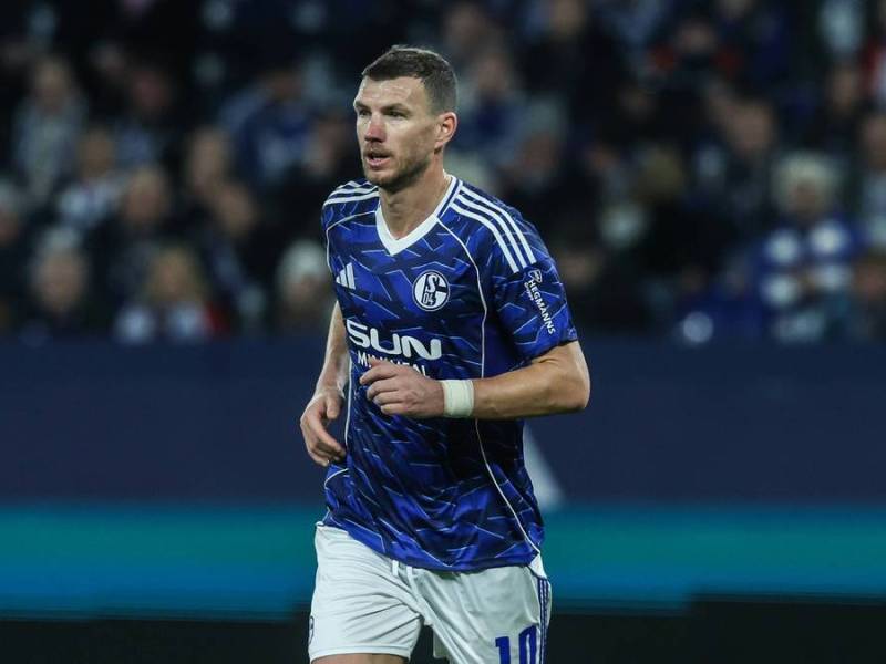 Dzeko im Schalke-Trikot