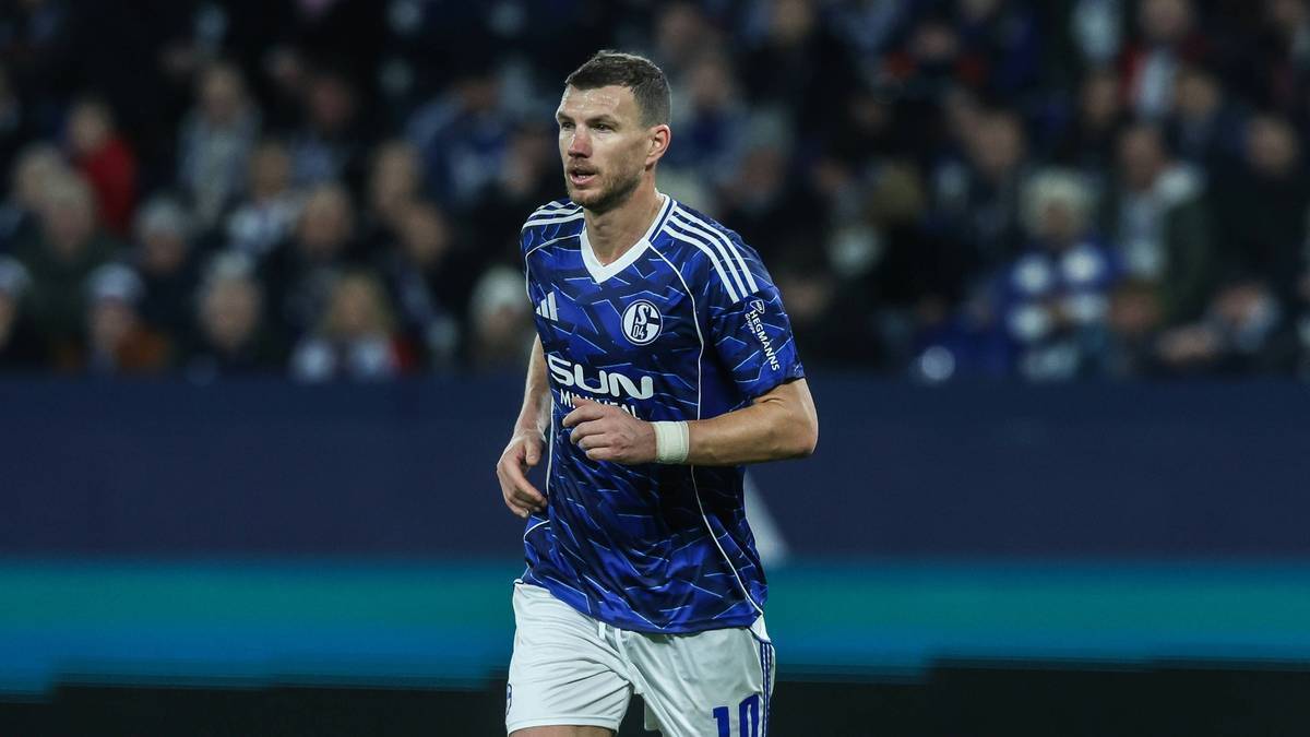 Dzeko im Schalke-Trikot