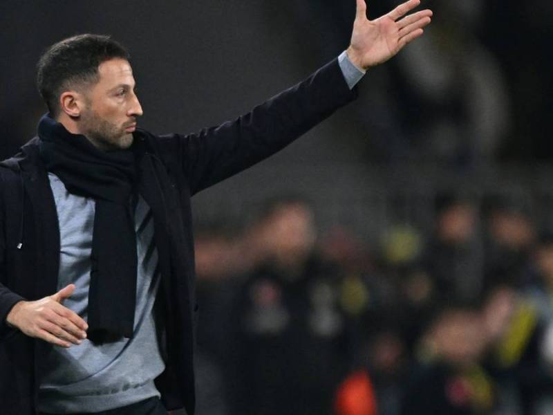 Fener-Coach Domenico Tedesco