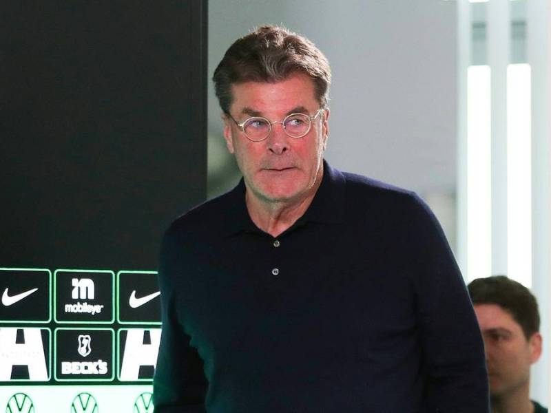 Hecking soll den VfL retten