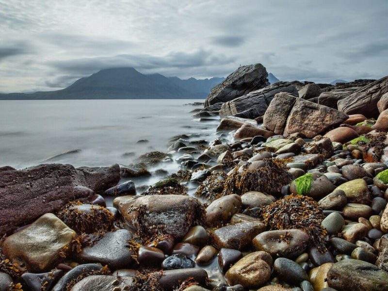 Scottish Shoreline Scottish Shoreline ALT
